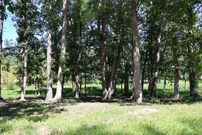 735 Druim Trail, Crown Point, IN 46307 - Photo 3