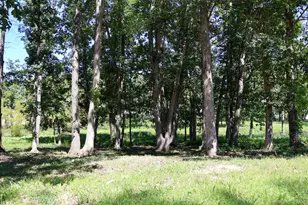 735 Druim Tr, Crown Point, IN 46307 - Photo 3