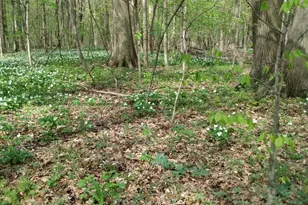 1220 Dogwood Dr, Chesterton, IN 46304 - Photo 23