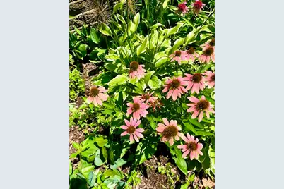 202 Oakridge Court, Valparaiso, IN 46385 - Photo 43