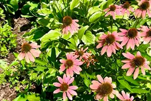 202 Oakridge Ct, Valparaiso, IN 46385 - Photo 43