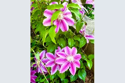 202 Oakridge Court, Valparaiso, IN 46385 - Photo 41