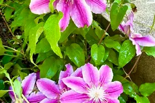 202 Oakridge Ct, Valparaiso, IN 46385 - Photo 41