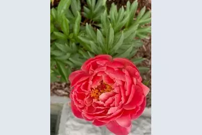 201 Will Street, Kouts, IN 46347 - Photo 35