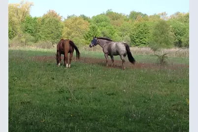 9301 E Division Road, Mill Creek, IN 46365 - Photo 49