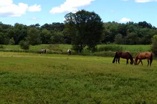 9301 E Division Rd, Mill Creek, IN 46365 - Photo 49