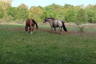 9301 E Division Rd, Mill Creek, IN 46365 - Photo 47