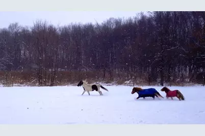 9301 E Division Road, Mill Creek, IN 46365 - Photo 53