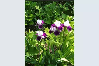 203 Oakridge Court, Valparaiso, IN 46385 - Photo 43