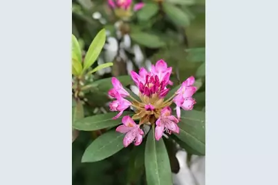 203 Oakridge Court, Valparaiso, IN 46385 - Photo 41