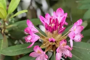 203 Oakridge Ct, Valparaiso, IN 46385 - Photo 41