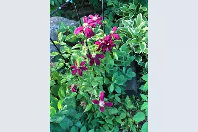 203 Oakridge Court, Valparaiso, IN 46385 - Photo 45