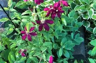 203 Oakridge Ct, Valparaiso, IN 46385 - Photo 45