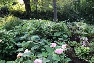 203 Oakridge Ct, Valparaiso, IN 46385 - Photo 53