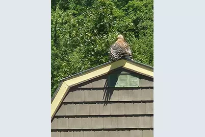 9588 E 650 N, Walkerton, IN 46574 - Photo 31