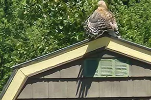 9588 E 650 N, Walkerton, IN 46574 - Photo 31