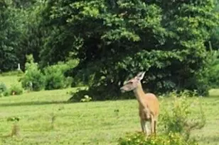 9588 E 650 N, Walkerton, IN 46574 - Photo 27