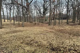 12850 W 102nd St, Saint John, IN 46373 - Photo 3