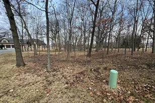 12850 W 102nd St, Saint John, IN 46373 - Photo 5