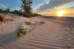 8726 Lakewood Ave, Gary, IN 46403 - Photo 3