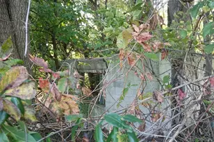 2345 E 21st Ave, Gary, IN 46407 - Photo 5