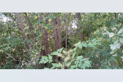 2345 E 21st Avenue, Gary, IN 46407 - Photo 3