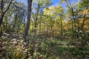 487 Timber Lake Dr, Lowell, IN 46356 - Photo 9