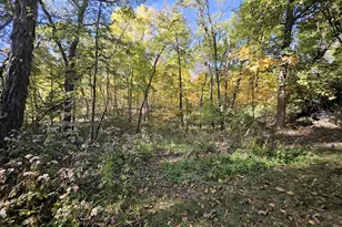 487 Timber Lake Dr, Lowell, IN 46356 - Photo 7