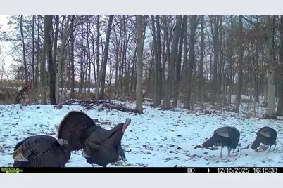 772 W 900 S, Hebron, IN 46341 - Photo 41