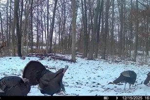 772 W 900 S, Hebron, IN 46341 - Photo 41