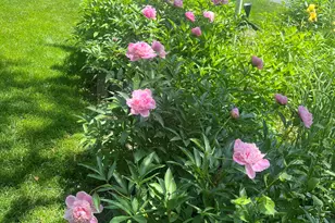 10030 Eagle Ct, Demotte, IN 46310 - Photo 33