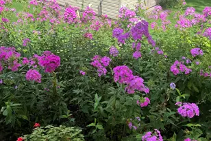 10030 Eagle Ct, Demotte, IN 46310 - Photo 31