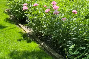 10030 Eagle Ct, Demotte, IN 46310 - Photo 39