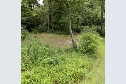 0 E River Road, Buchanan, MI 49107 - Photo 11