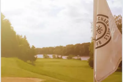 0 E River Road, Buchanan, MI 49107 - Photo 47