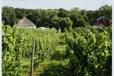 0 E River Road, Buchanan, MI 49107 - Photo 49