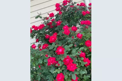 7315 Taney Place, Merrillville, IN 46410 - Photo 23