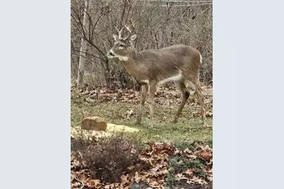 11606 Westvalley Drive, Crown Point, IN 46307 - Photo 35