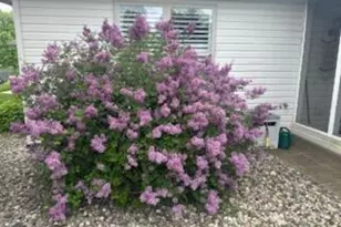 210 Windy Oak Dr, Hebron, IN 46341 - Photo 29