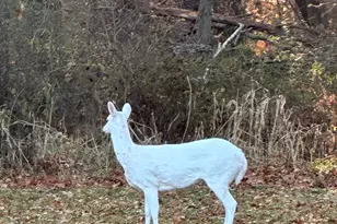 216 E 1050 N, Chesterton, IN 46304 - Photo 81