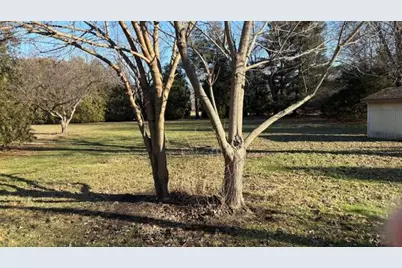 924 Fillmore Street, Shelby, IN 46377 - Photo 3