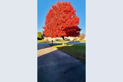 6827 Falcon Drive, Schererville, IN 46375 - Photo 17