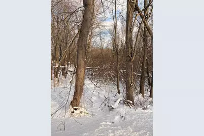 Tbd Union Avenue, Chesterton, IN 46304 - Photo 3