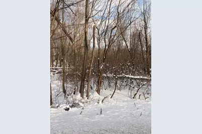 Tbd Union Avenue, Chesterton, IN 46304 - Photo 3