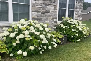 1781 Kelly Ct, Wheatfield, IN 46392 - Photo 3