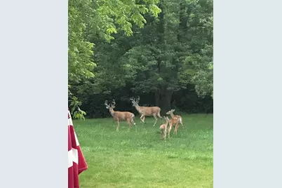 11 N 675 W, Valparaiso, IN 46385 - Photo 35