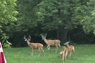 11 N 675 W, Valparaiso, IN 46385 - Photo 35