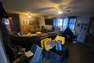 203 Kentucky St, Attica, IN 47918 - Photo 3