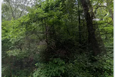 0 Pleasant Avenue, Beverly Shores, IN 46301 - Photo 3