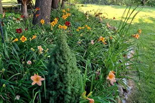 33671 Woodmont Ridge Dr, New Carlisle, IN 46552 - Photo 33